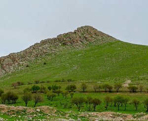 En Irak, sauver les forêts de l'emblématique montagne kurde