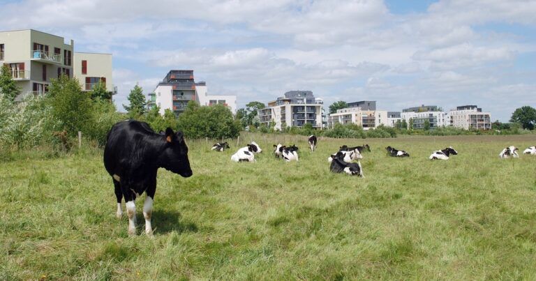 Vivre à la campagne : peut-on se passer de la ville ?