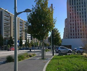 À 70 ans, le Grand Ensemble de Sarcelles fait de la résistance