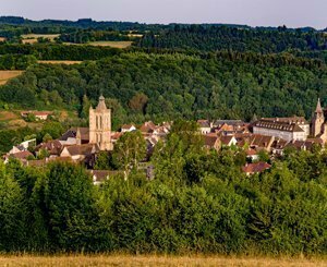 Budget 2025 : le Gouvernement ne doit pas démissionner sur son ambition pour la transition écologique des territoires