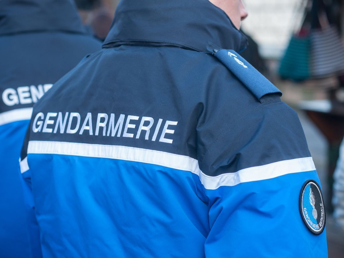 "Nous disposons des moyens pour mettre fin à l'éco-délinquance" (Gendarmerie nationale)