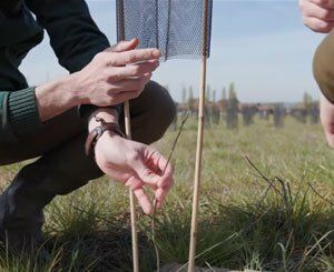 Tout ce que vous avez toujours voulu savoir sur... Les arbres et le Grand Paris Express