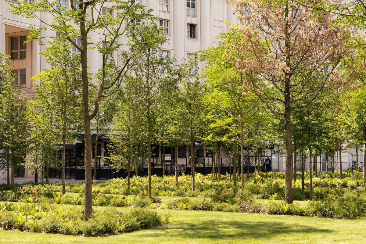 Spie Batignolles Paysage reverdit Paris en y réalisant la première forêt urbaine