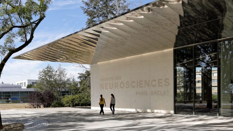 Institut de Neurosciences Paris-Saclay, par Dietmar Feichtinger