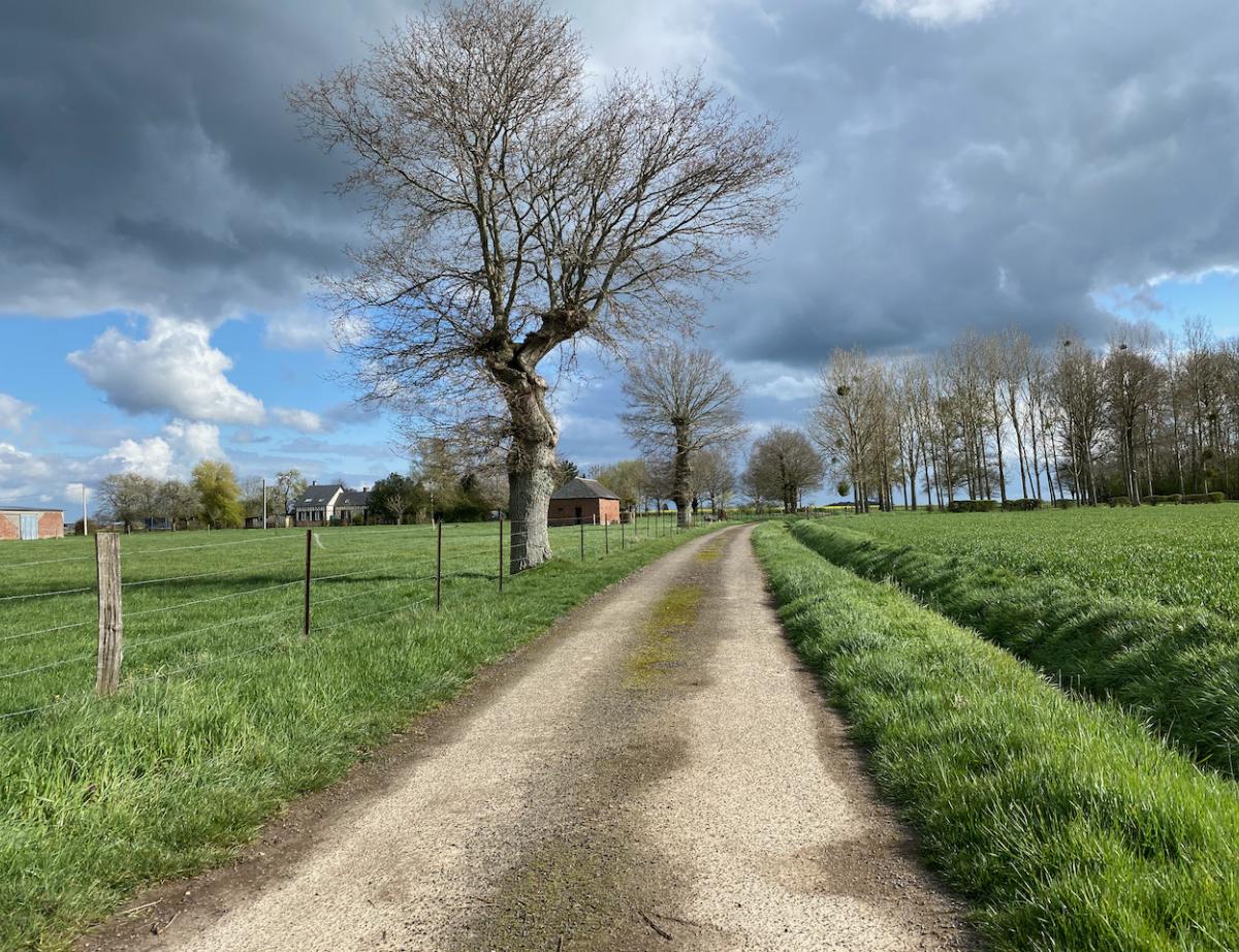 Loi Climat et résilience : le sénat consulte les élus locaux