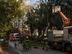 La Sécu des indépendants vient en aide aux victimes de la tempête Ciara