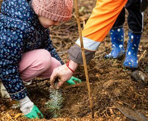 Colas renouvelle son partenariat avec le programme de plantation d’arbres Forest &amp; Life