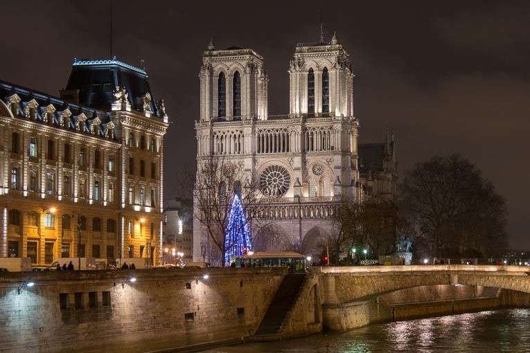 Charpente de Notre-Dame : Les matériaux restent à choisir