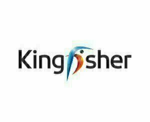Kingfisher confirme ses objectifs après des ventes en hausse au 1er trimestre