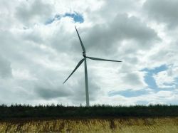 La filière éolienne demande davantage de réformes pour avoir le vent dans le dos