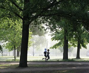 Les lieux rafraîchis, premiers et derniers refuges face aux canicules extrêmes