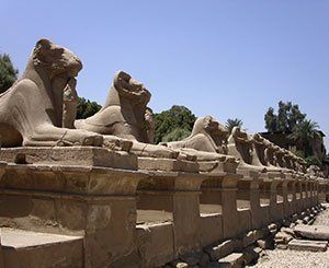 Au Caire, l'installation de quatre sphinx antiques en pleine ville fait polémique