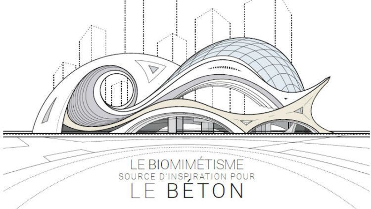 7ème concours d’idées SNBPE et CIMbéton : biomimétisme