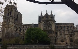 Incendie de Notre-Dame de Paris: ce que l'on sait 