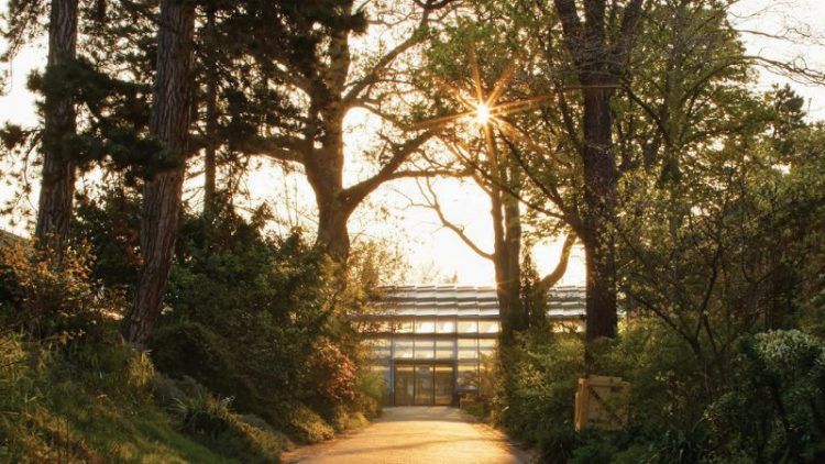 Les serres d’Auteuil de Marc Mimram, contemporaines malgré tout