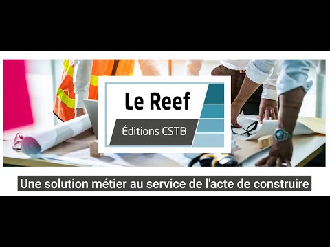 le reef la r f rence des professionnels de la construction