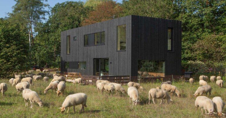 Cette maison hollandaise préfabriquée à façade en bois vieilli s’affirme audacieusement