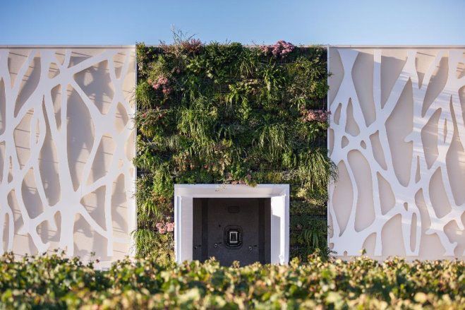 Rénovation entre tradition et modernité dans le vignoble de Pomerol